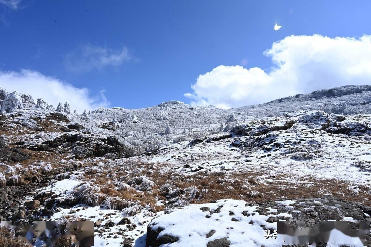 云南昆明首雪轿子雪山下雪了来感受昆明的冰雪世界