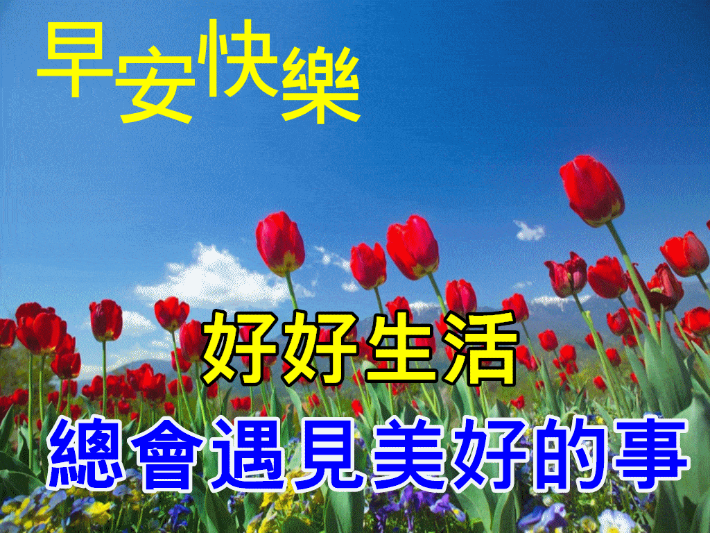 11月28日早上好图片,11月早上好图片大全 11月28日最新早上好动态表情图片大全,清晨早上好问候