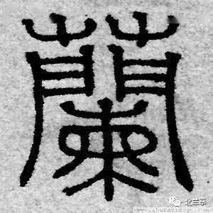 每日一字兰