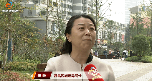 武昌区城建局局长 陈静:路网通了,行车通车方便了,可以直接去江边观赏