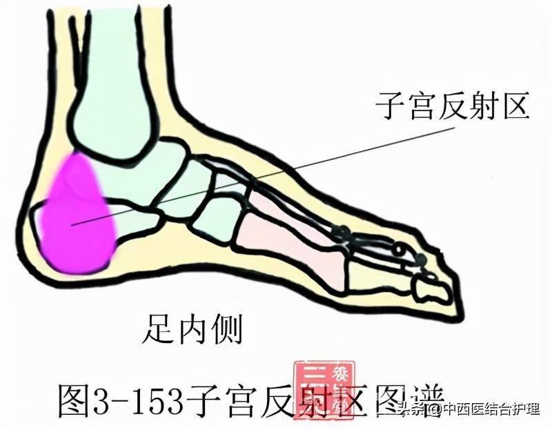 第二个在脚跟的内侧,这里是女人子宫的反射区,重不重要你心中自然有数