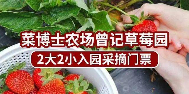 8元抢『菜博士农场』2大2小门票(赠送红颜草莓1斤)_商家_套餐_石磨