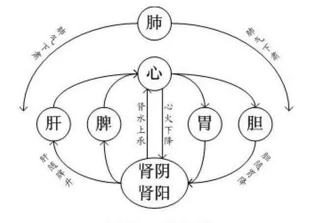 腹为阴背为阳背需常暖腹应软