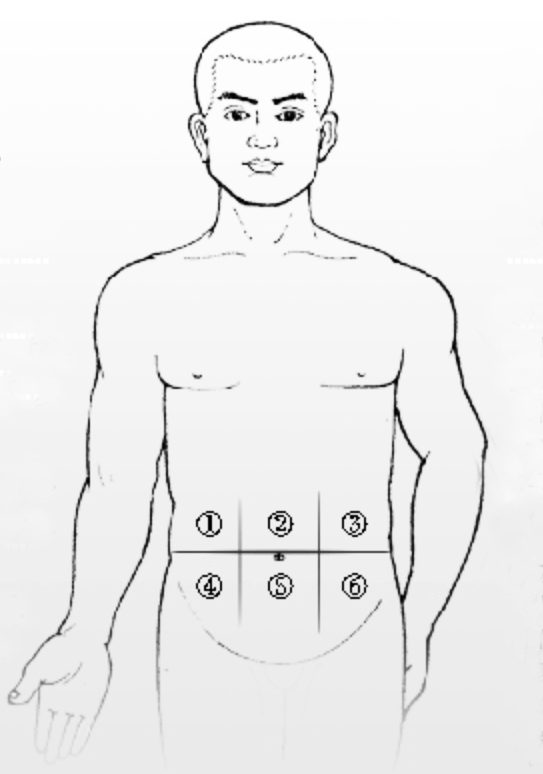肚子疼是什么病看这个腹部地图对照就知道