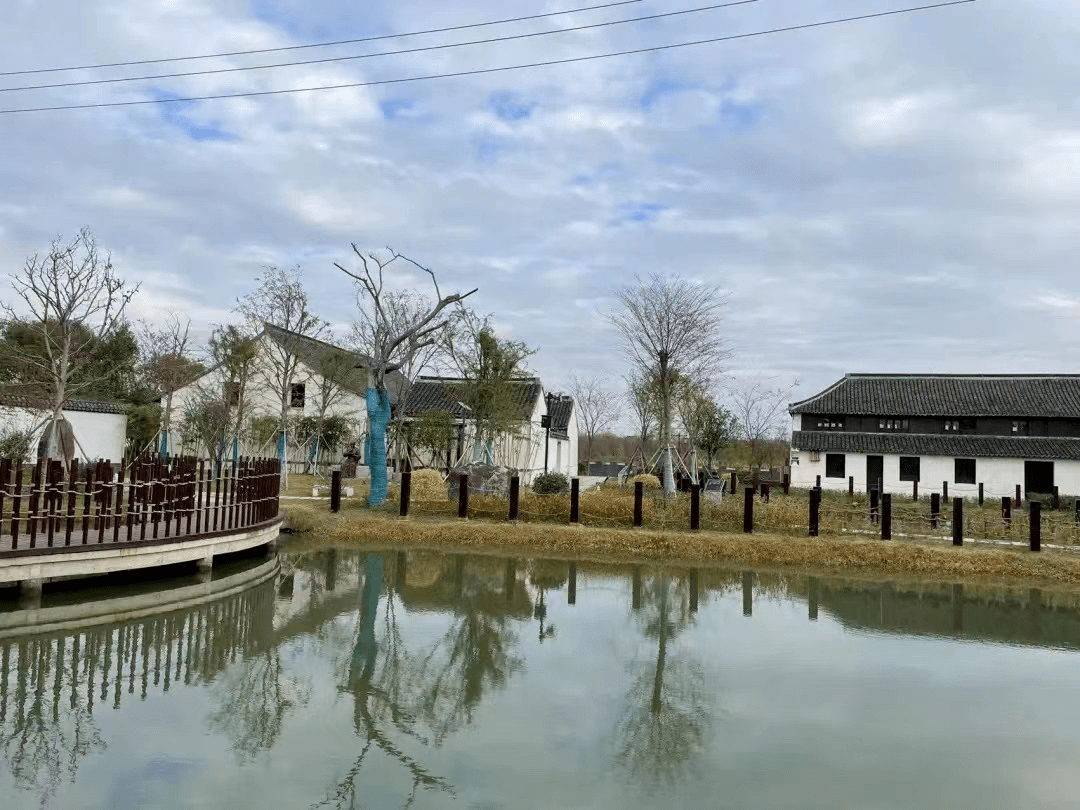 兴旺村方塘港美丽河道,姚浜村跃进河河道,大齐塘村美丽河道,小新村泖