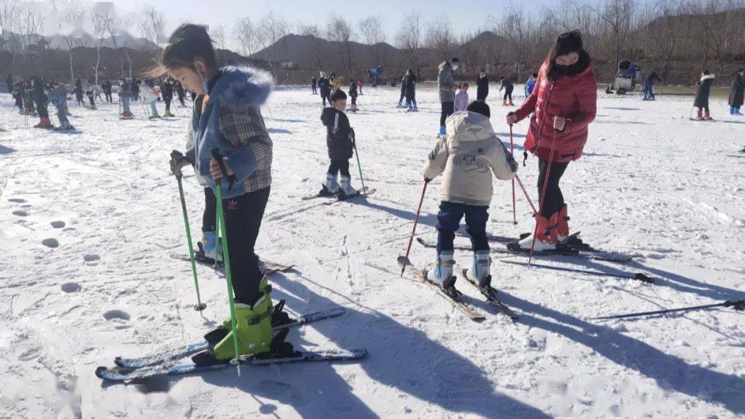 又是一年滑雪季,位于平山的巨龟苑景区是一处非常接地气的亲子乐园