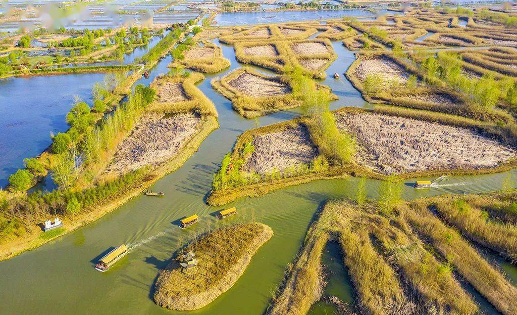 滴新年卡泗洪洪泽湖湿地景区拍了拍你送你一份元旦欢乐礼包请查收