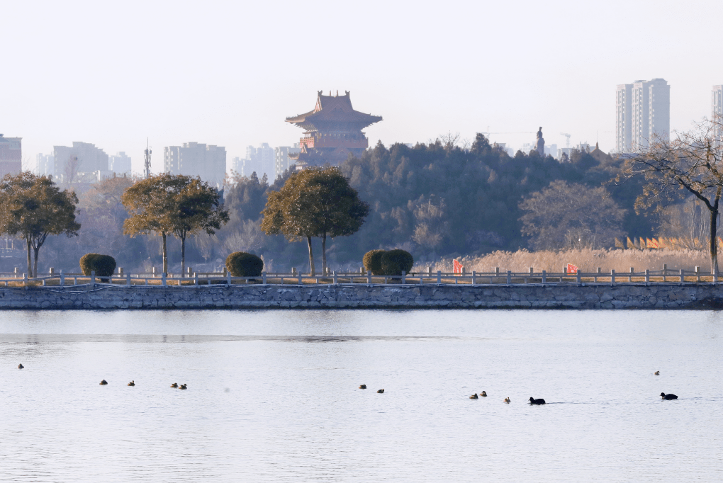 开封"网红打卡地"越来越多的背后_建设_阳光湖_城市