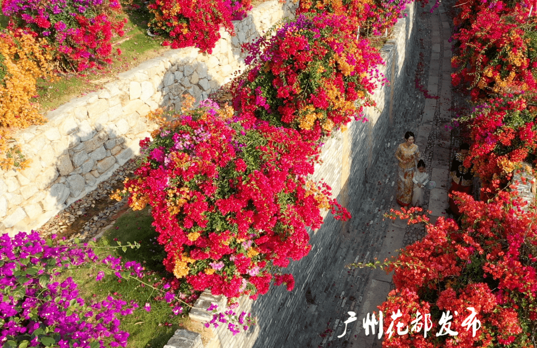 3000亩花海红红火火花都宝藏级植物园开放预约