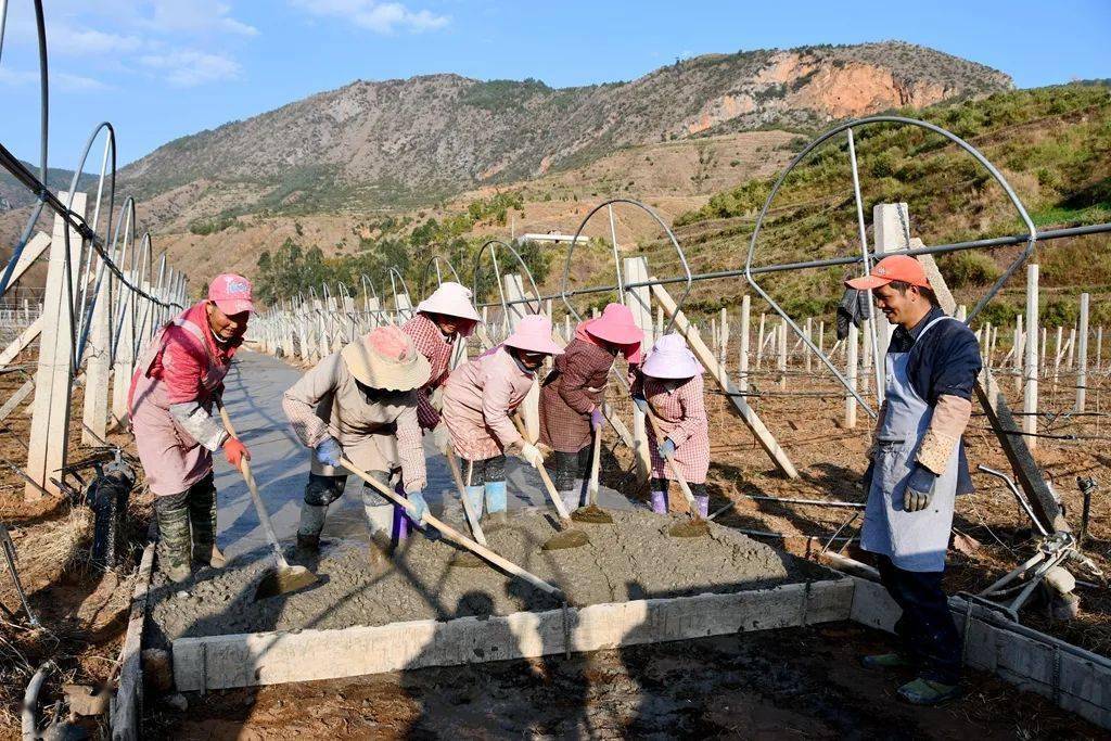 宣威市务德镇加快项目建设助推乡村振兴