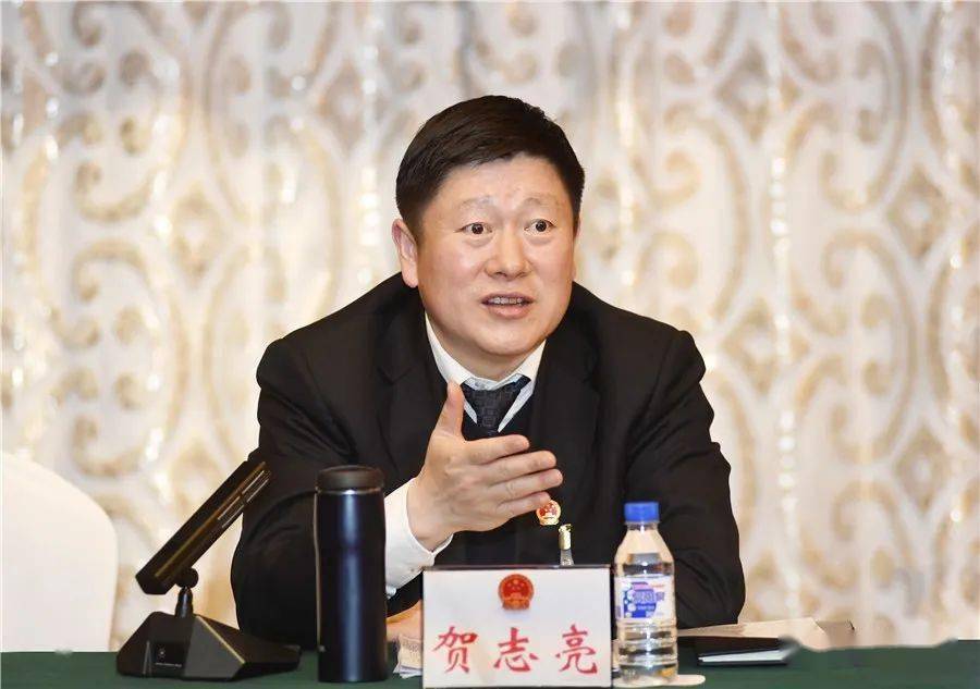 贺志亮参加市十七届人大一次会议龙潭代表团分组审议