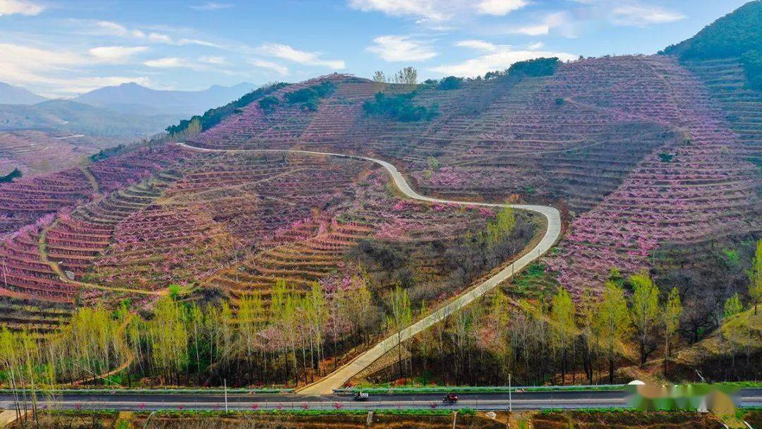 夏君栋《东荆山头春色》张彦启《雪韵》李佩光《山乡早晨》王圣文《春