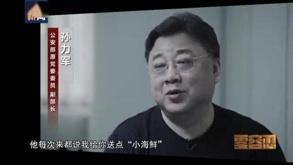 集体落马 案件细节披露_孙力军政治团伙五"虎"集体落马_反腐大片首集