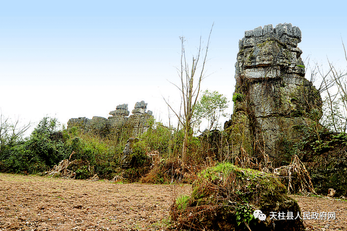 这首诗是天柱八景之首"石柱擎天"的真实写照,也是游客到此旅游后的真