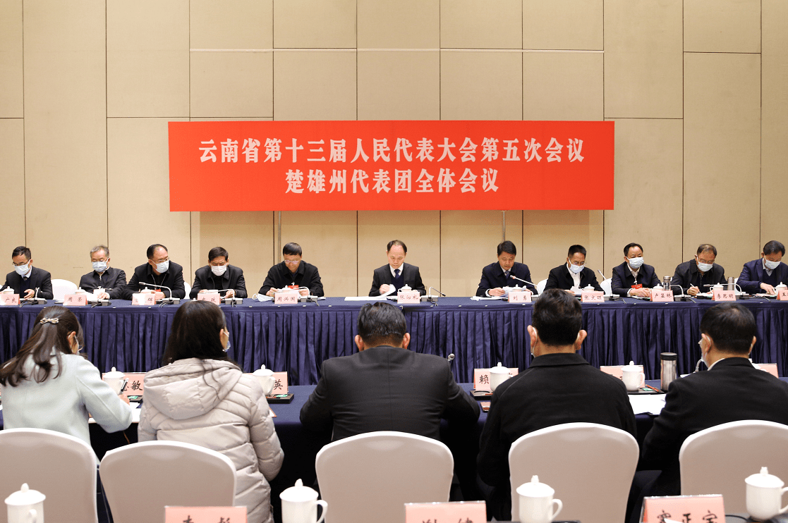 楚雄州代表团出席省十三届人大五次会议_大会_政治_职责