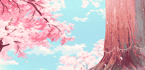 春节天天出发樱你相遇与你相约春天的浪漫打卡最美的樱花公园水口油菜