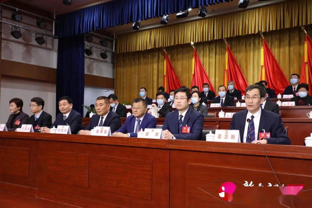 十一届一次会议主席团常务主席夏念新,李玲,梁欣,李斌,张传军,殷培文