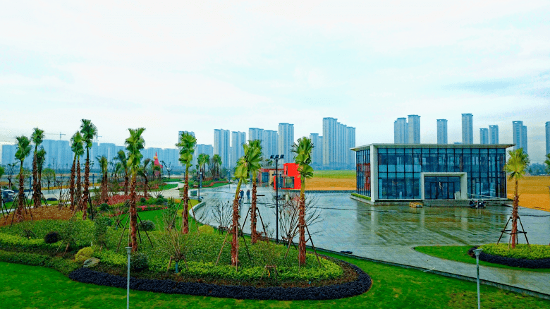 翠湖公园位于龙港新城的省重点工程龙港市人民医院,仅用7天完成370亩
