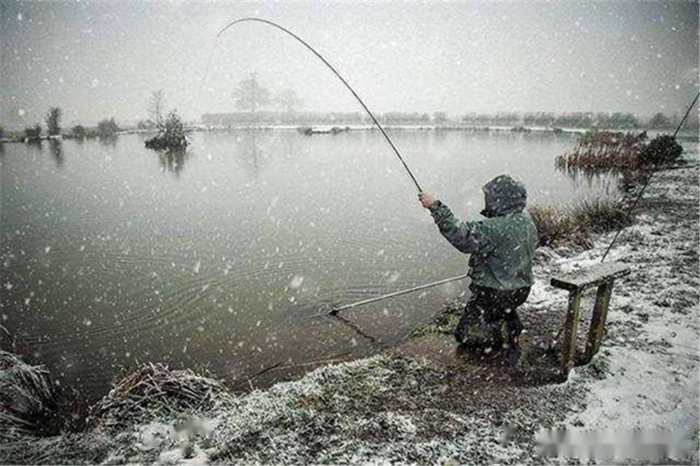 雪后,雨后鱼也不会开口,不过同样是降水的天气,下雪跟下雨还是稍稍有