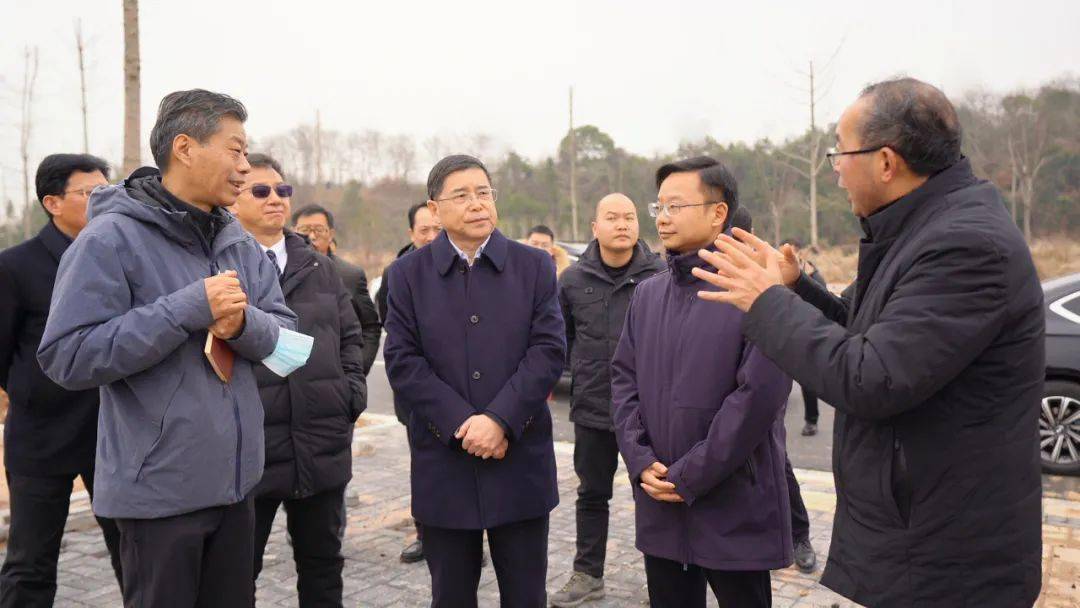 马春山到当阳调研高铁建设情况_项目_刘传钢_灯灯