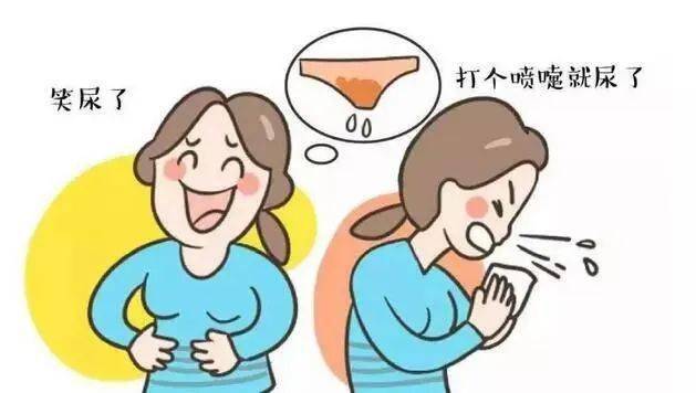 一咳嗽,一笑就漏尿,对付尿失禁只需一个方子_影响_膀胱_好处