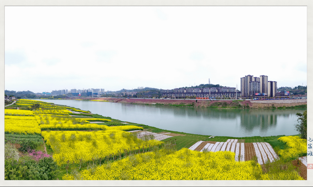 2022第①波赏花地图来了内江春天必去的16大赏花地错过等一年
