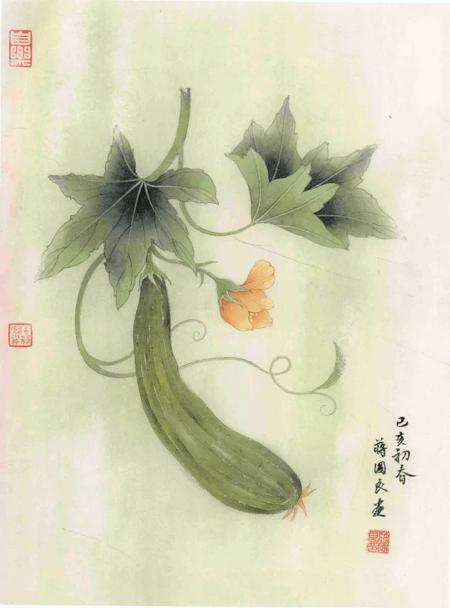 图文教程工笔萝卜丝瓜画法步骤