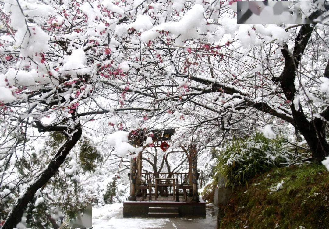 赵家镇宣家山村(何贵忠/摄▼应店街镇长春岭(蔡夫军/摄▼