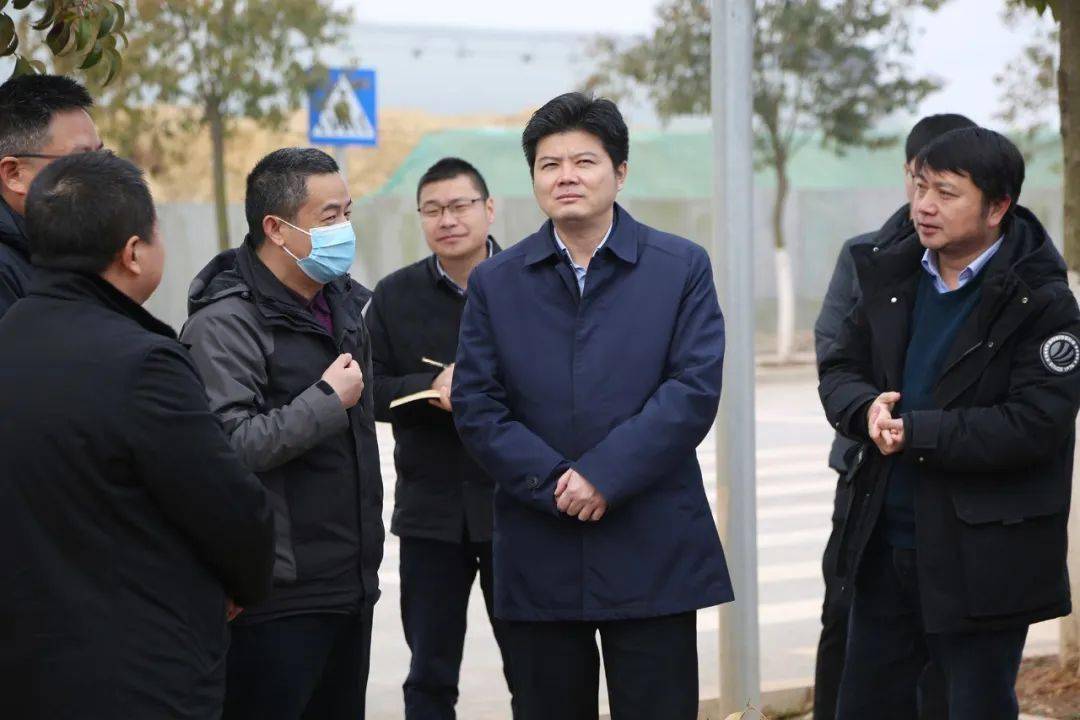 详细了解项目规划,施工进展,安全保障,产业规模,生产工艺,市场行情等