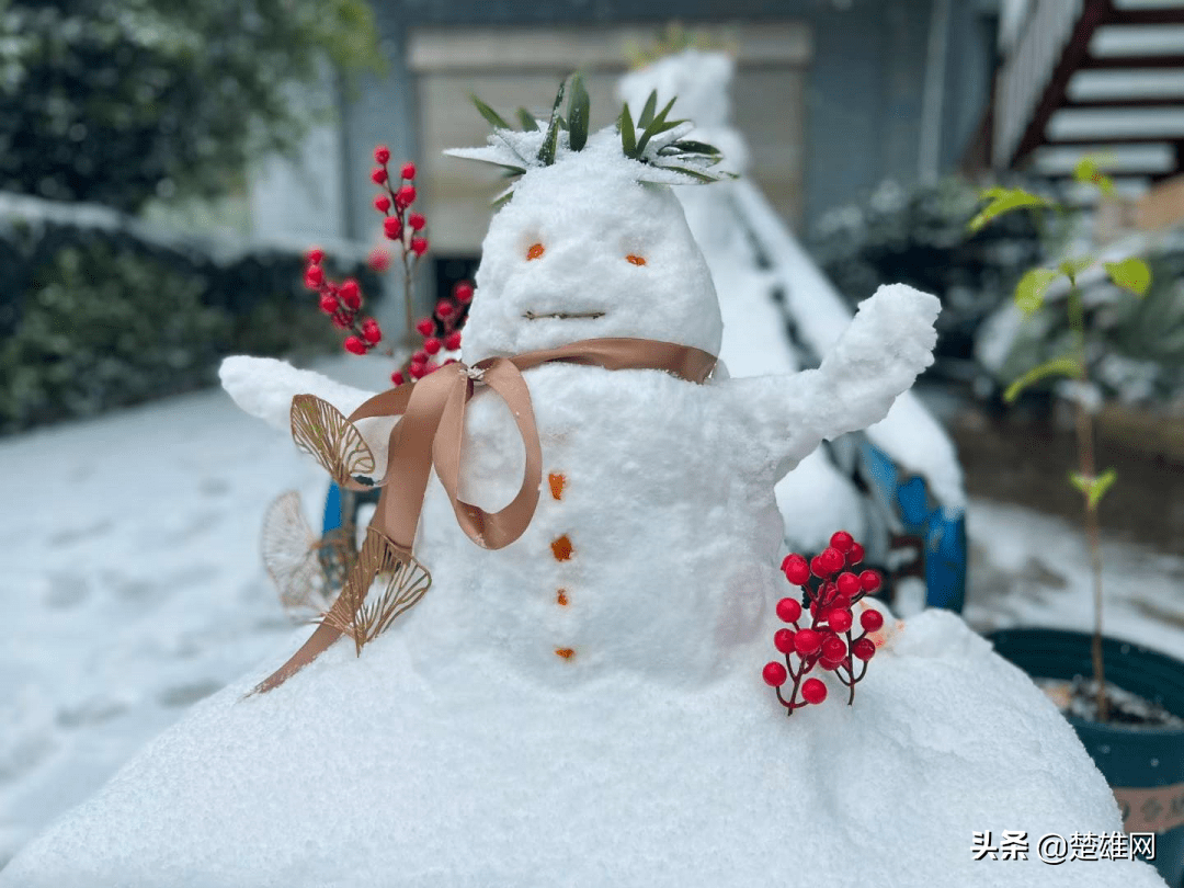 楚雄市民花式堆雪人大赛开赛快看看谁的创意最拉风