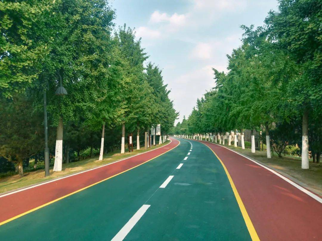 锦绣公园丨利辛首个城市级体育公园在此建成!
