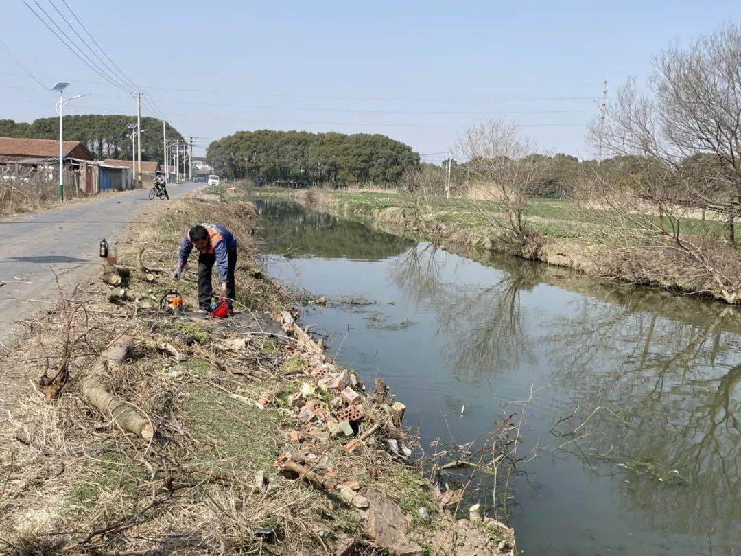 整治_河道_岸线