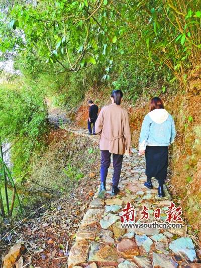 红色资源"活"起来 红色基因传下去_平远县_大柘镇_姚平山