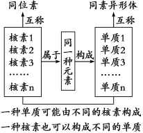 哪些原子互为同位素?
