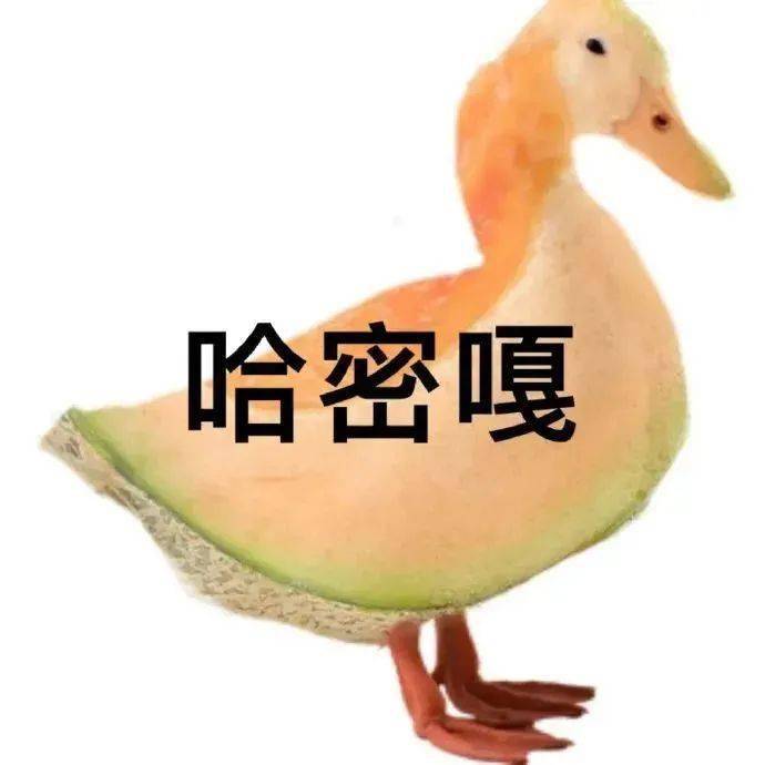 奇奇怪怪的表情包这是迪嘎