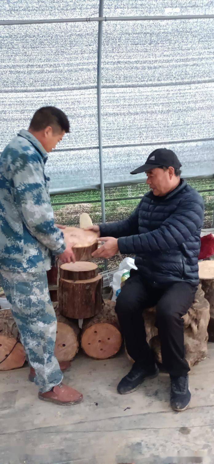 西安市鄠邑区五竹街道石佛寺村陋石铭庭田祥生上水石花草盆景欣赏