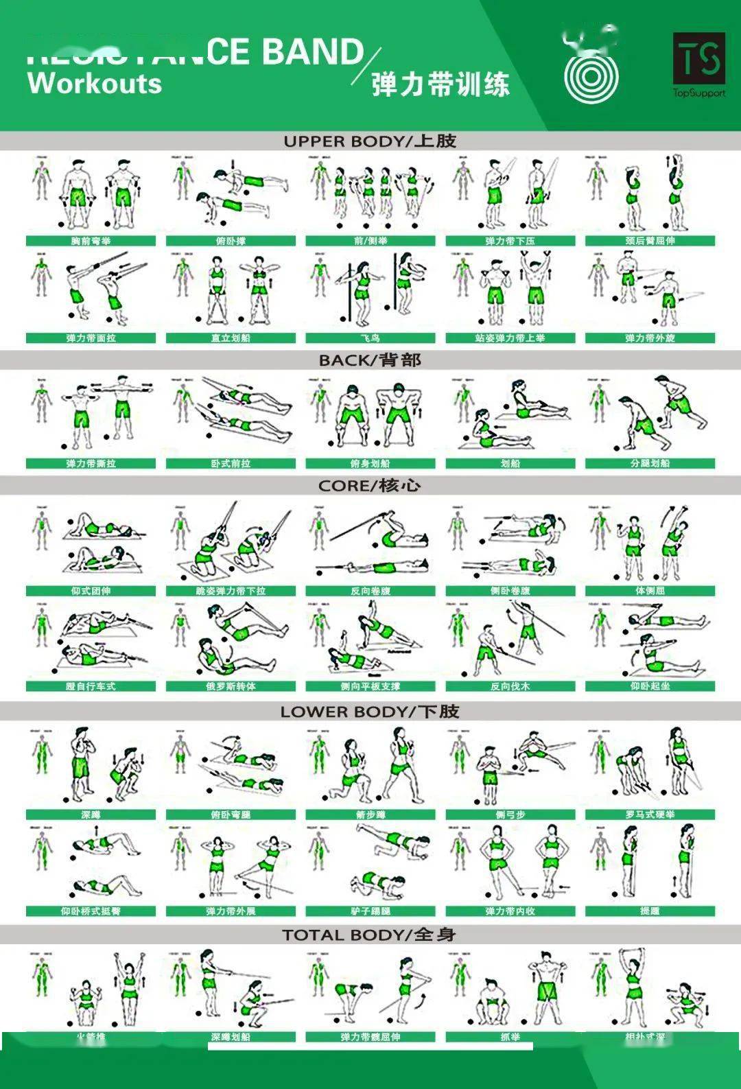 体能训练动作库图解大全值得收藏