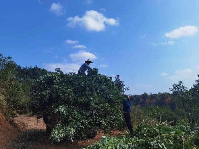 青春引航范鹏辉逆境中成长的弄潮儿