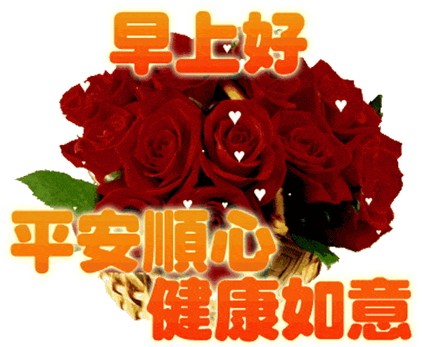 66个早上好问候鲜花图