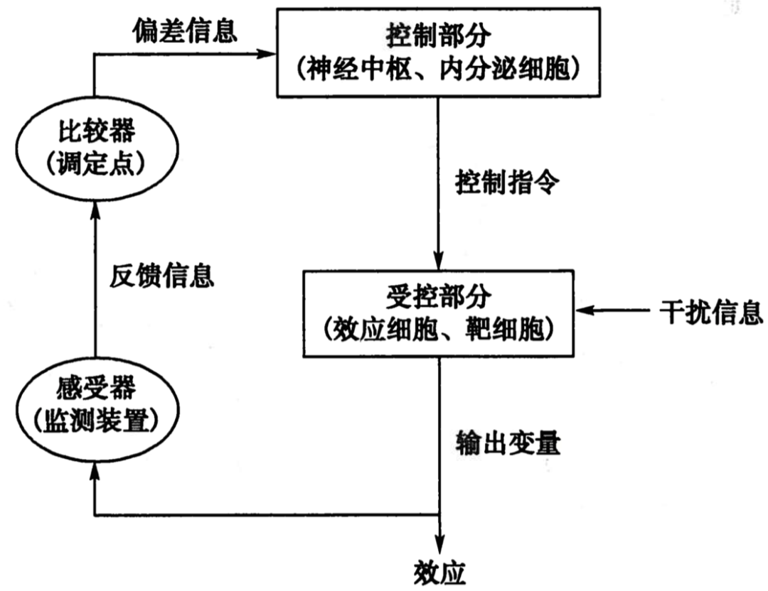 反馈控制系统天天师兄陪你睡前读教材