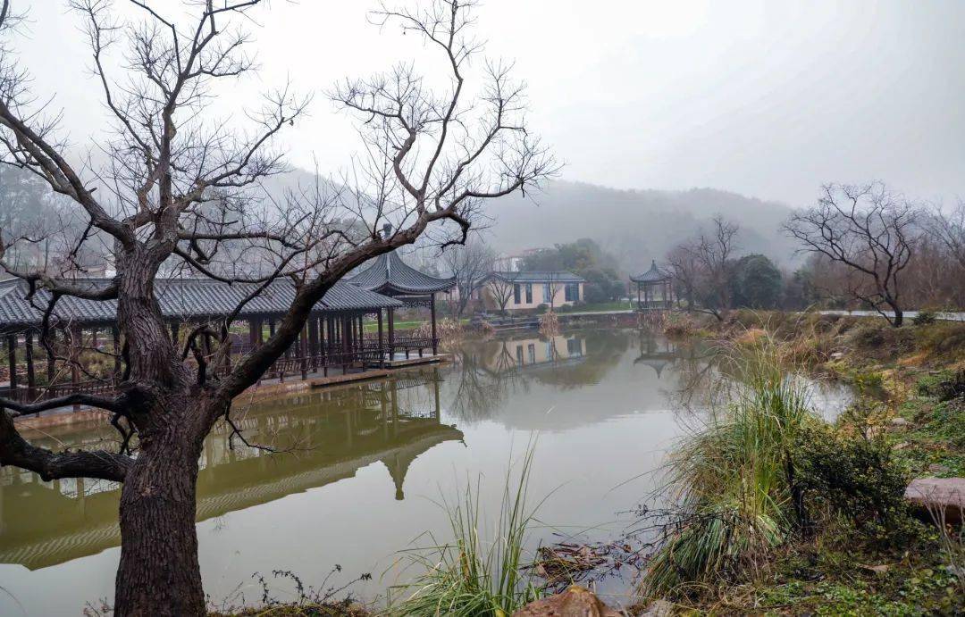 《走进》庐江汤池一一王圩里～_百花村_魅力_来源