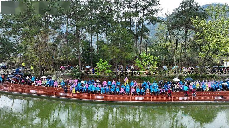 海量美图,牛洞坪第六届油菜花节现场直击→_活动_巴东_乡愁