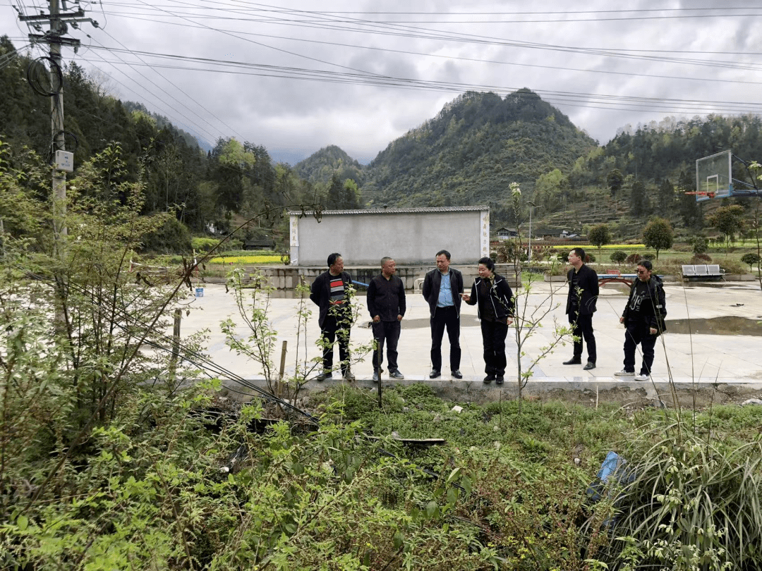 3月27日,天馆乡党委书记周静芳到各村察看春耕备耕,耕地保护,人居环境