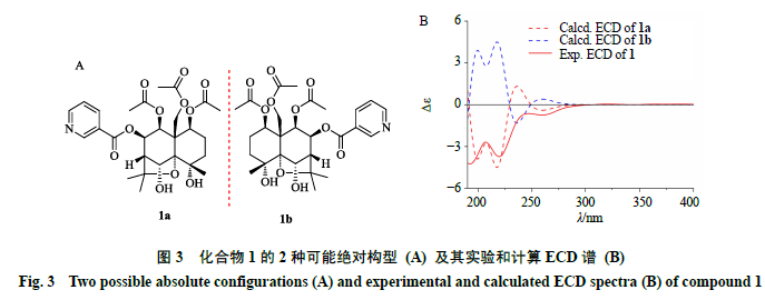 67雷公藤中倍半萜生物碱类化学成分的研究_waters_公司_色谱