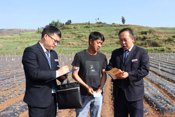 为做好春耕备耕金融服务工作,作为农村金融的主力军,云南省曲靖市富源