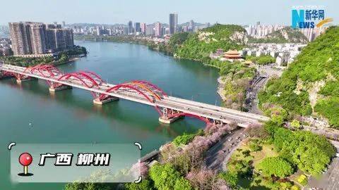 金华柳州网站推广 来自搜狐网