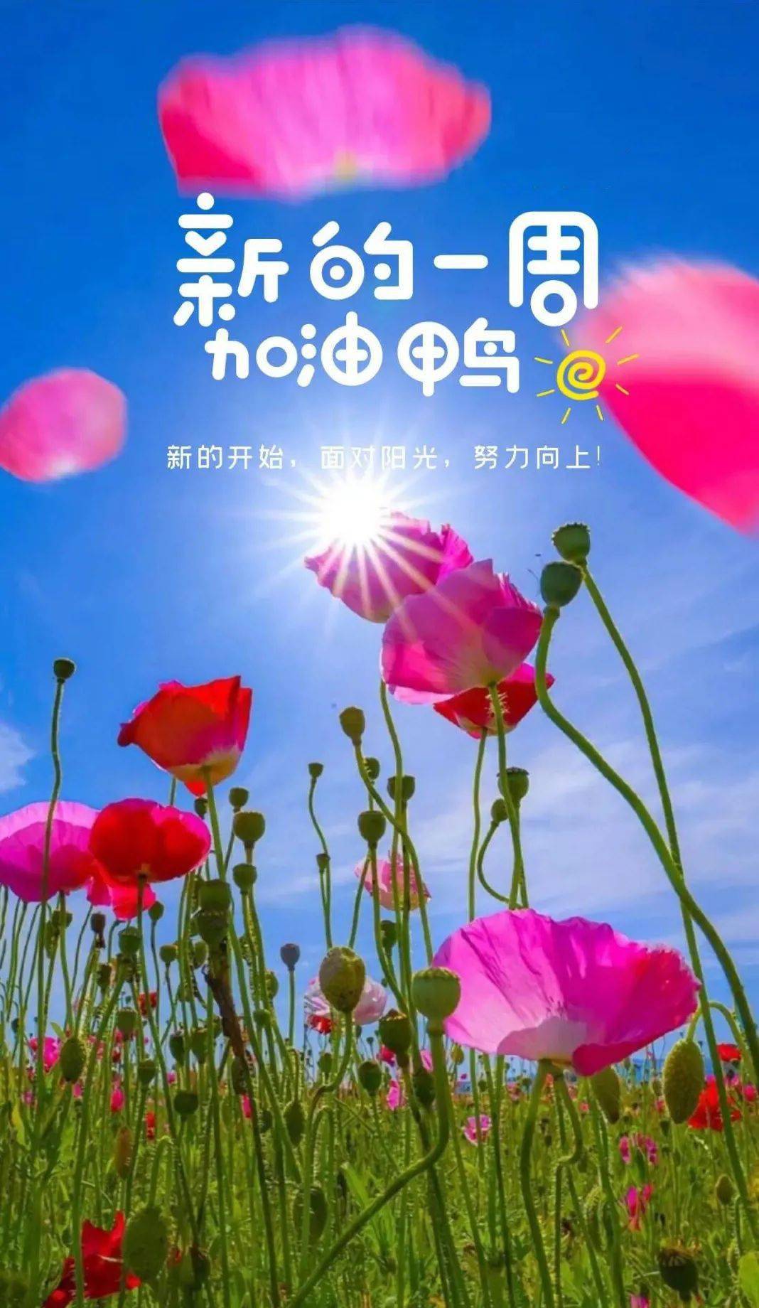 4月18日早安正能量经典美文感悟语录早上好问候语专辑正能量图片带字