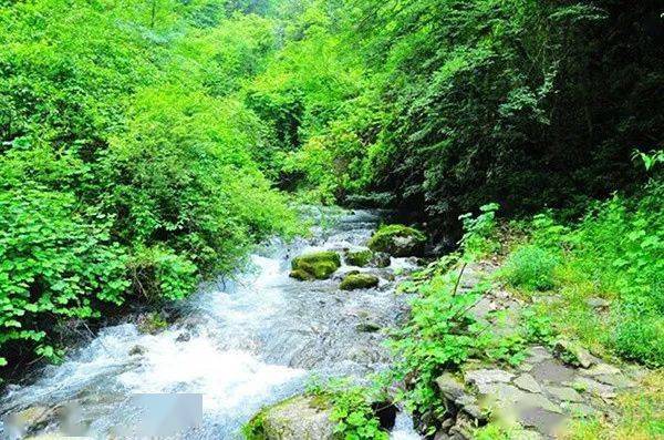 这里山清水秀温度低,白天即便时值酷暑,每日气温也能保持在26,7度左右