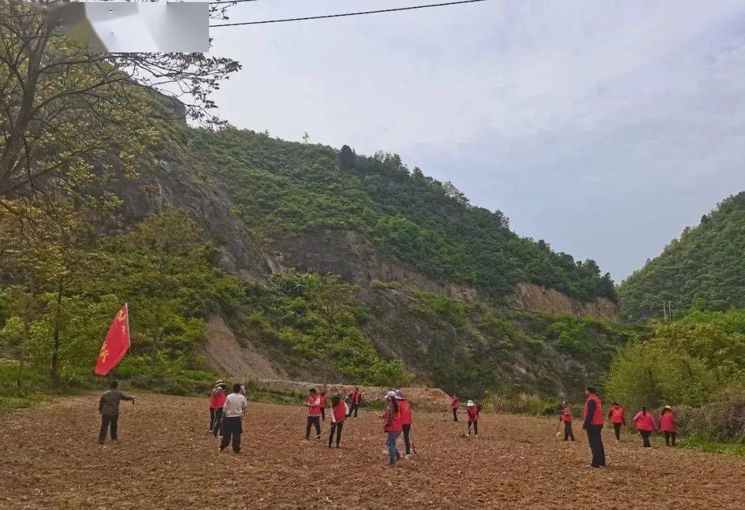 两当县:新时代文明实践助推春耕生产_金洞乡_乡村_陇南