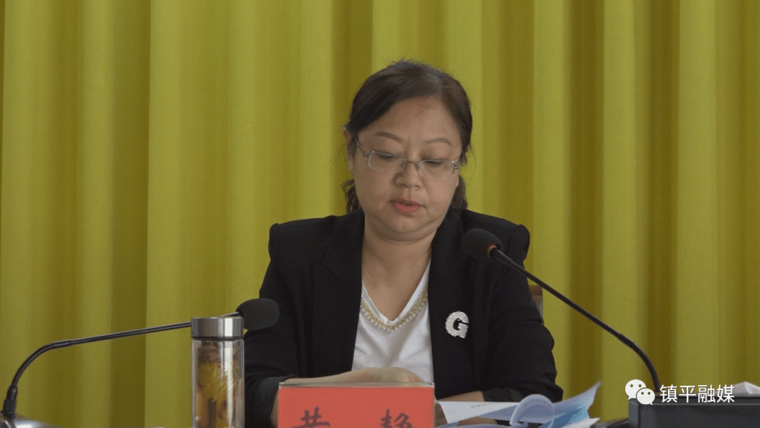 镇平县召开经济运行调度暨重大项目推进会议